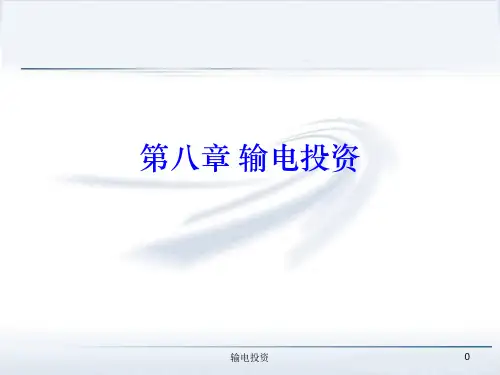 电力系统经济学原理第八章