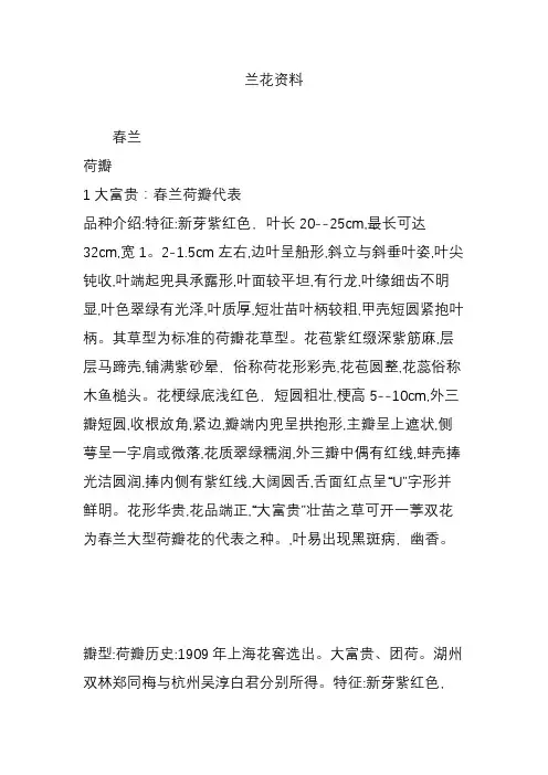 兰花资料