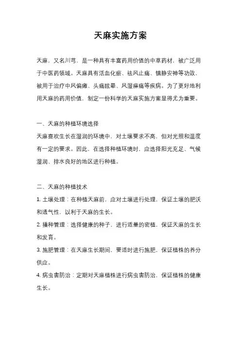 天麻实施方案
