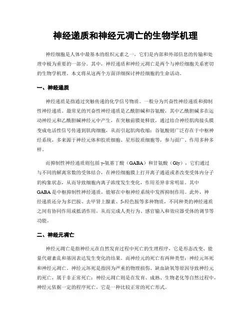 神经递质和神经元凋亡的生物学机理