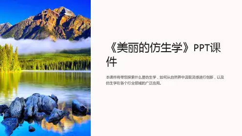 《美丽的仿生学》课件