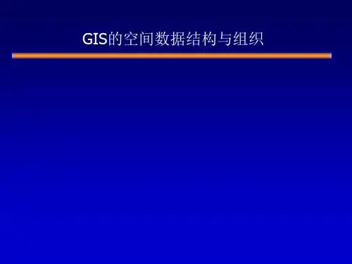 GIS的空间数据结构与组织
