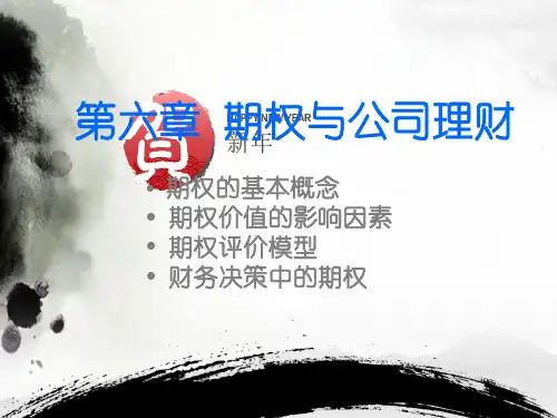 期权与公司理财(PPT 47页)1