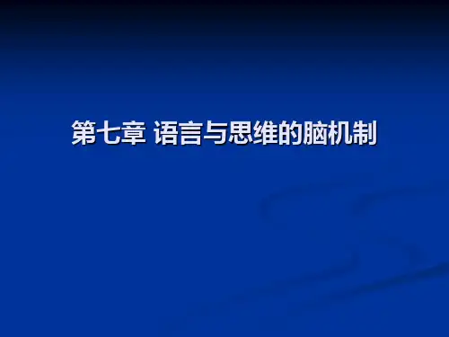 第7章 语言和思维的脑机制