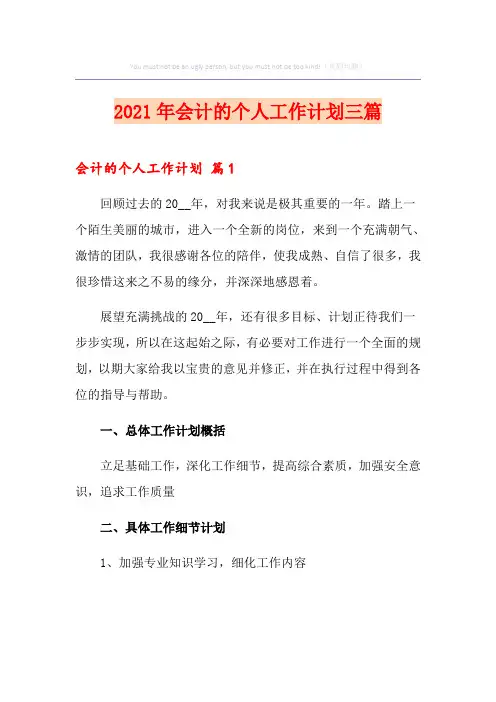 2021年会计的个人工作计划三篇(精编)