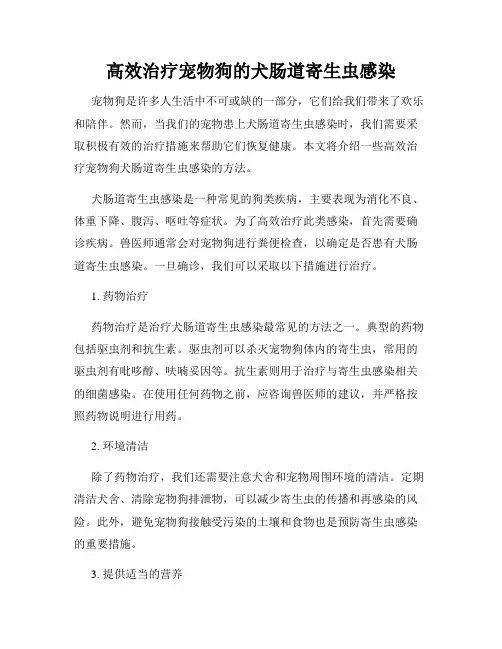 高效治疗宠物狗的犬肠道寄生虫感染