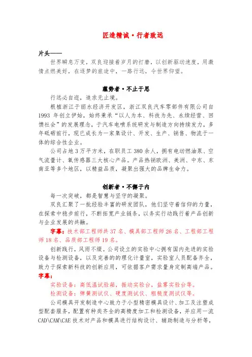 浙江双良汽车零部件有限公司宣传片文案