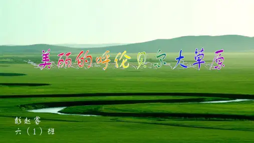 呼伦贝尔大草原介绍