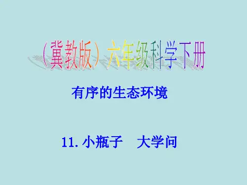 六年级下册科学课件-11 小瓶子大学问   ｜冀教版 (共22张PPT)