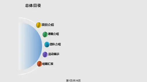 社会实践答辩PPT课件