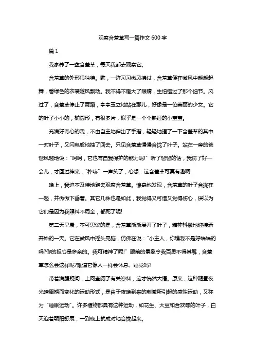 观察含羞草写一篇作文600字