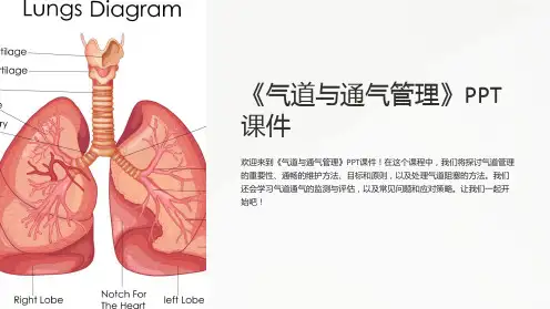 《气道与通气管理》课件