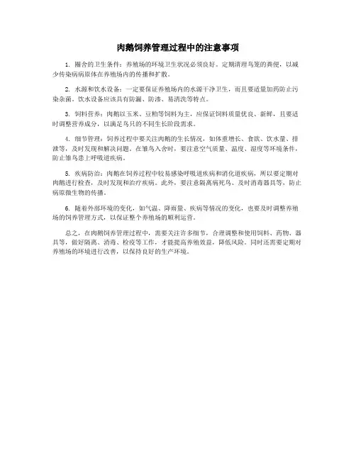 肉鹅饲养管理过程中的注意事项