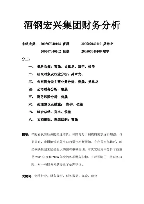 酒钢宏兴集团财务分析