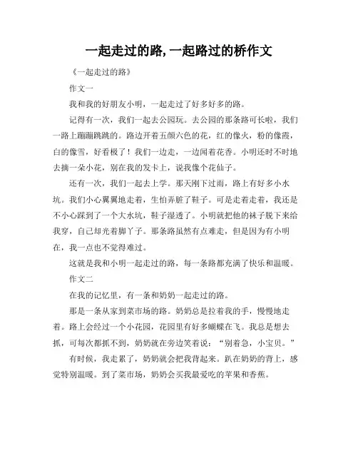 一起走过的路,一起路过的桥作文