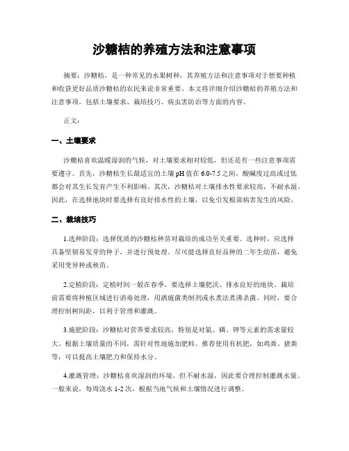 沙糖桔的养殖方法和注意事项