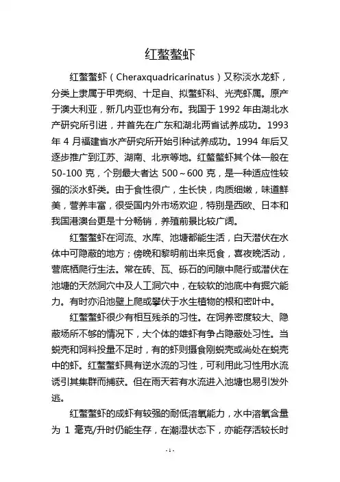 红螯螯虾           