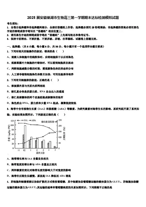 2025届安徽巢湖市生物高三第一学期期末达标检测模拟试题含解析