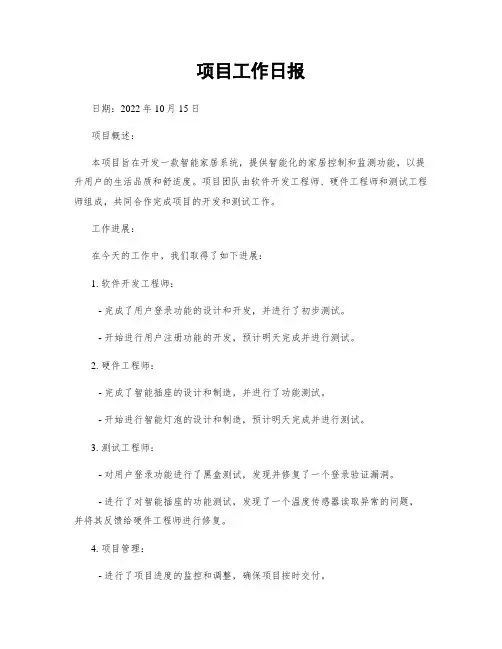 项目工作日报
