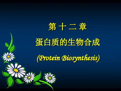 第十二章 蛋白质的生物合成x