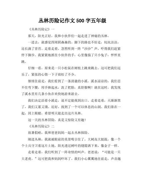 丛林历险记作文500字五年级