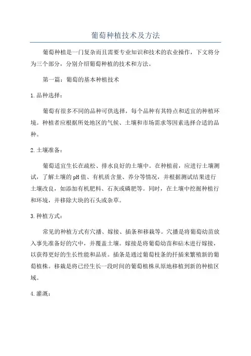 葡萄种植技术及方法