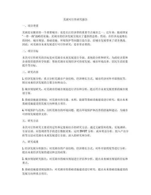芜湖可行性研究报告