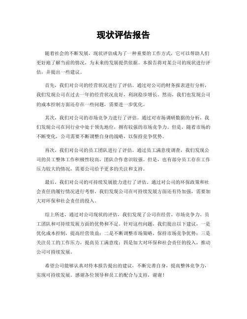 现状评估报告