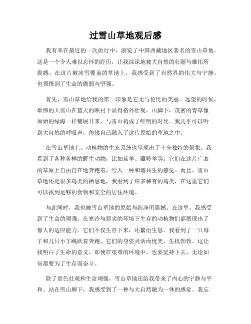 过雪山草地观后感