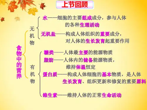 人教版七年级生物下册第四单元,第二章,第二节消化和吸收 课件(共28张PPT)