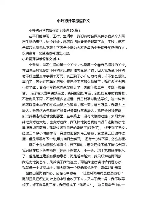 小升初开学感悟作文