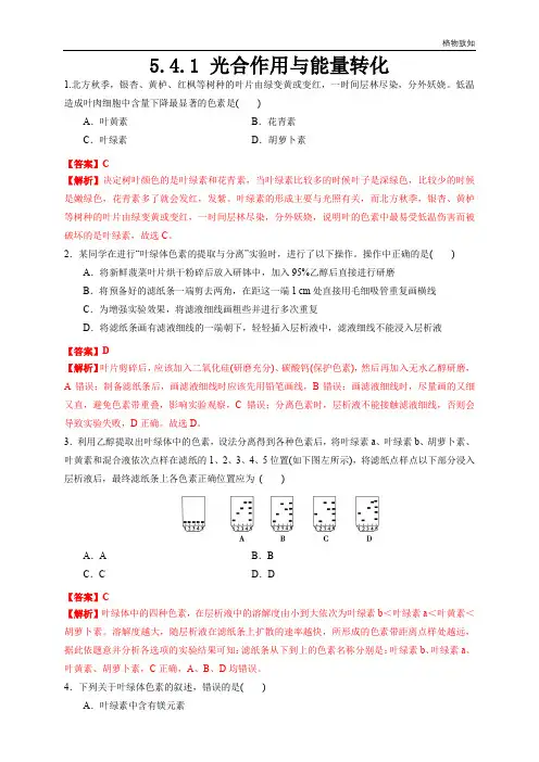 高中生物第一册 5 4 1 光合作用与能量转化 练习(含答案)