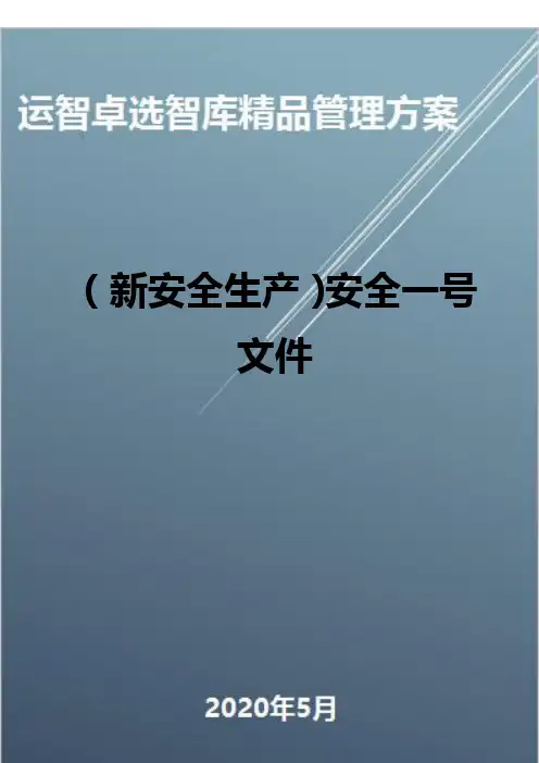(新安全生产)安全一号文件