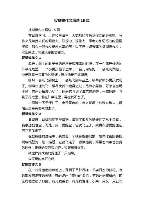 捉蝴蝶作文精选15篇