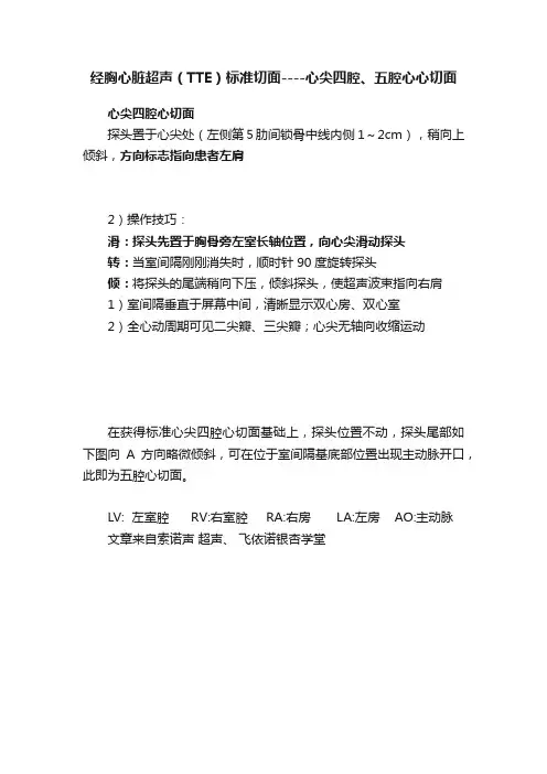 经胸心脏超声（TTE）标准切面----心尖四腔、五腔心心切面