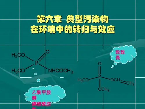 环境化学第六章
