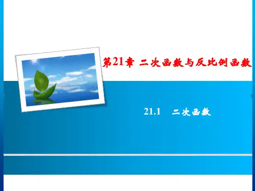 第21章 21.1 二次函数