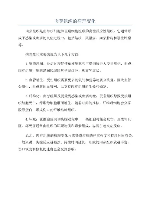 肉芽组织的病理变化