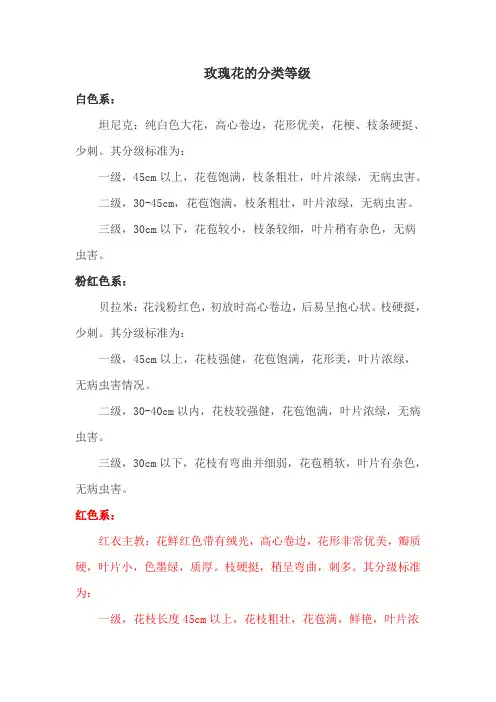 玫瑰花等级分类