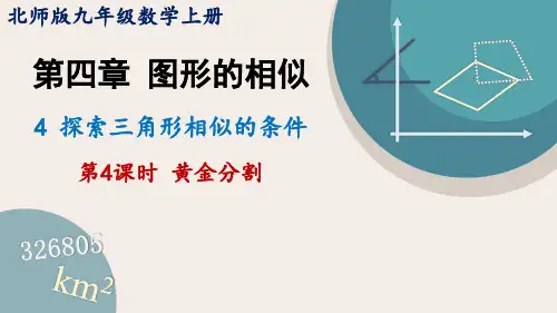 北师大版九年级数学上册课件 4.4 第4课时 黄金分割