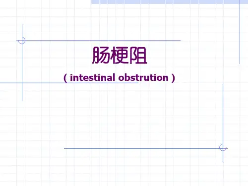 肠梗阻ppt