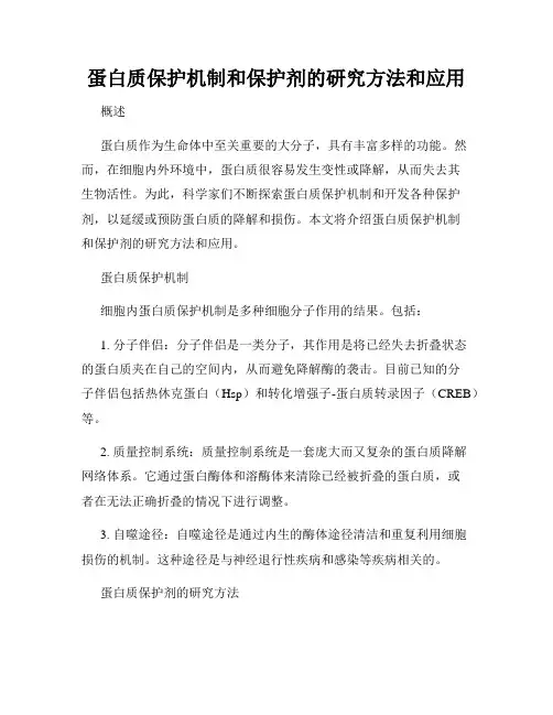 蛋白质保护机制和保护剂的研究方法和应用