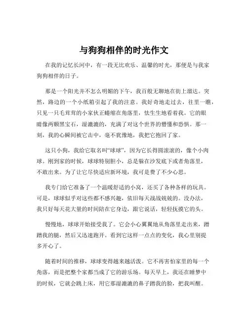 与狗狗相伴的时光作文