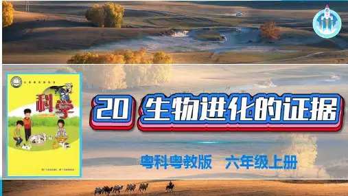 粤科粤教版科学六年级上册20生物进化的证据课件PPT