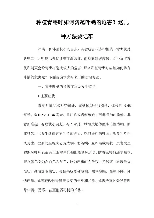 种植青枣时如何防范叶螨的危害？这几种方法要记牢
