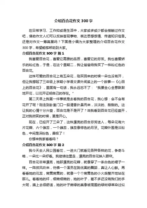 介绍百合花作文300字（精选26篇）