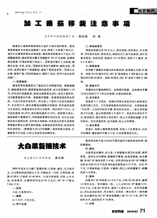 加工番茄移栽注意事项