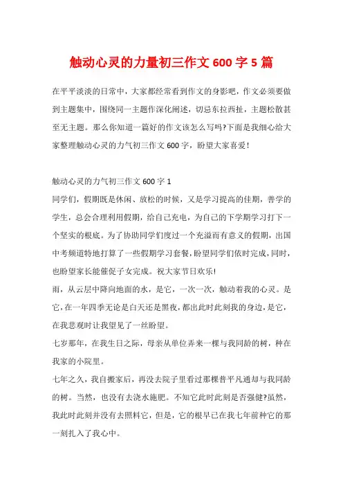 触动心灵的力量初三作文600字5篇