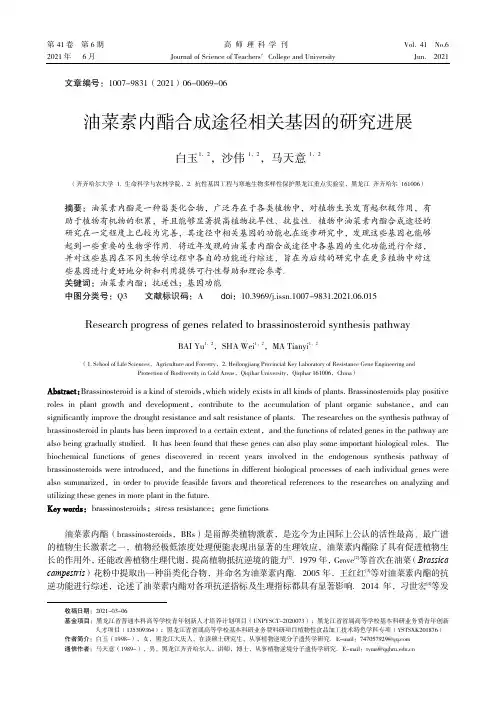 油菜素内酯合成途径相关基因的研究进展