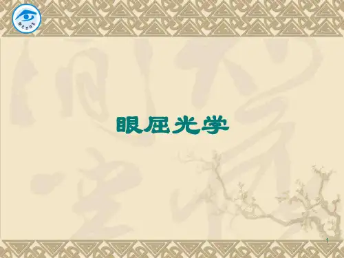实验一 视力表的绘制ppt课件